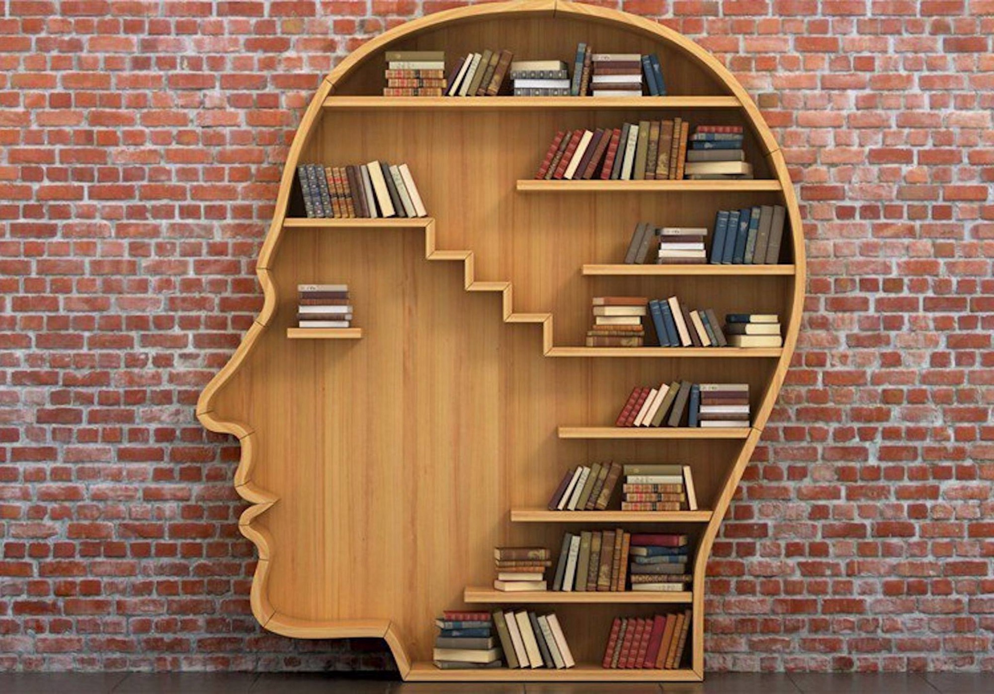 3 Data Science Books Recommended by top Data Science Experts